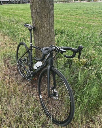 Specialized Roubaix Comp 2018 2018 Road & Gravel d'occasion — image 3 sur 4