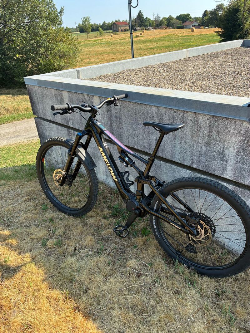 Amflow PX Carbon 2026 2026 MTB usato