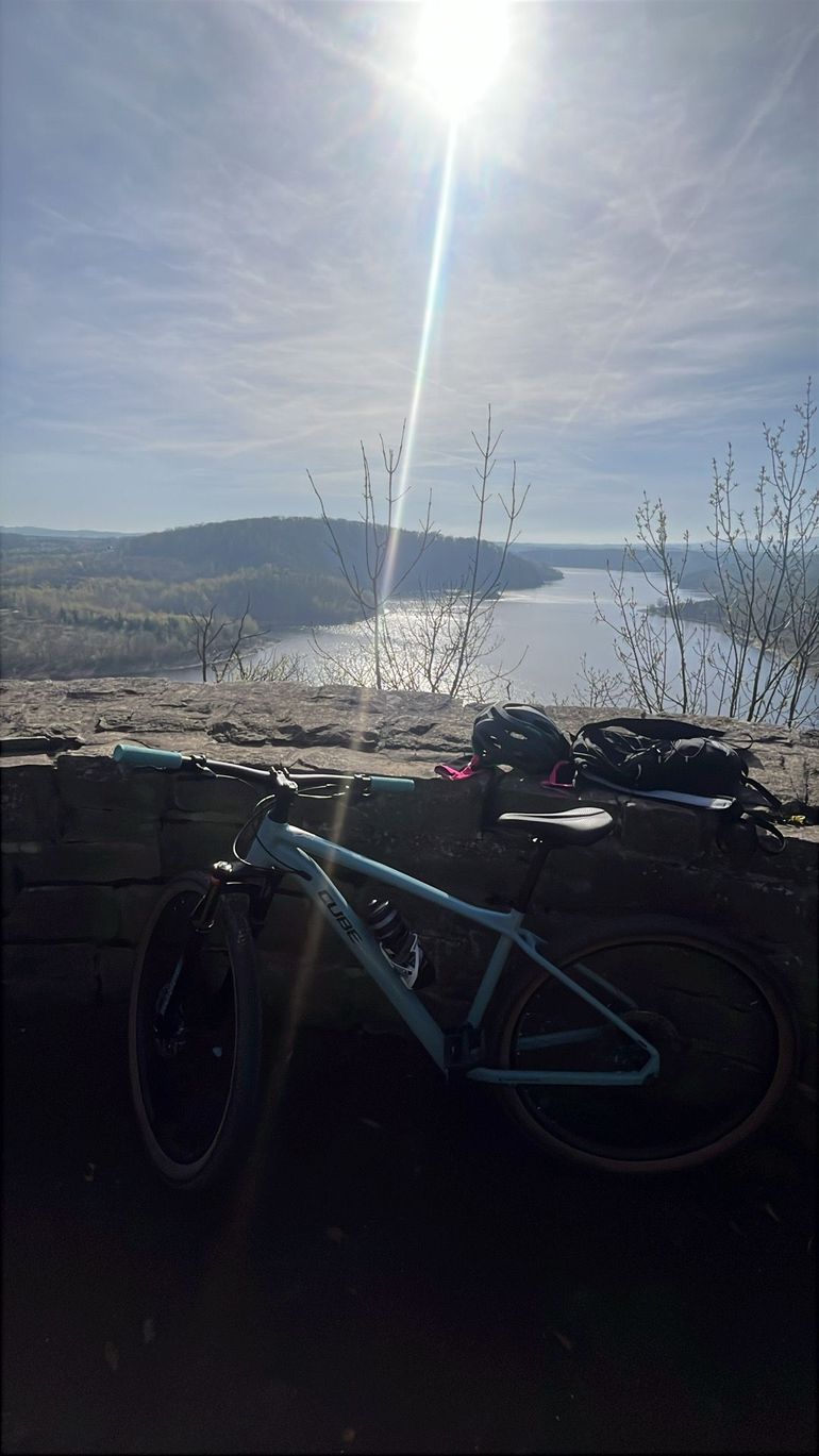 Tweedehands CUBE Reaction Shimano XTR 2026 Mountainbike — afbeelding 4 van 5