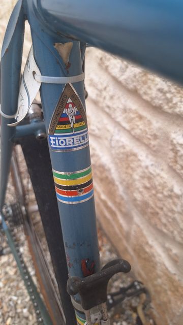 Used Fiorelli Coppi Campionissimo 1977 Road & Gravel, Blue — image 13 of 21