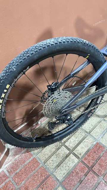 Gebrauchtes BH Bikes Lynx 2024 Mountainbike, Hellgrau — Bild 4 von 4