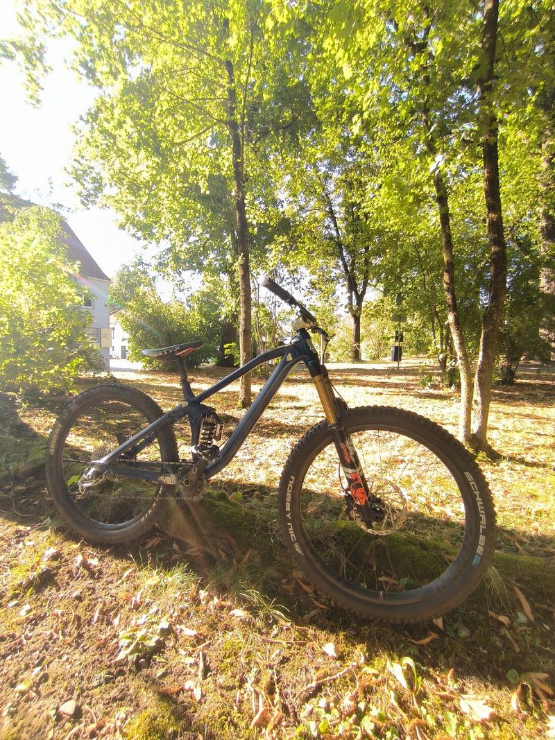 Käytetty Canyon Spectral AL 6.0 EX 2019 Frameset 2019 MTB
