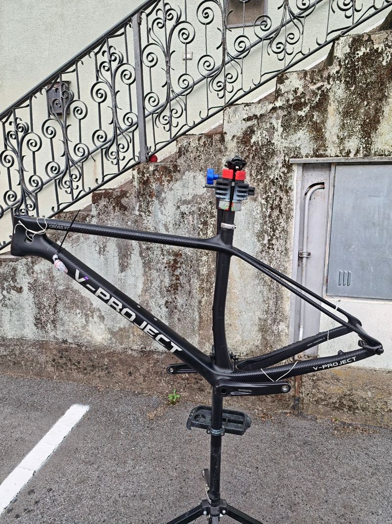Used Viola Custom Frameset 2025 MTB