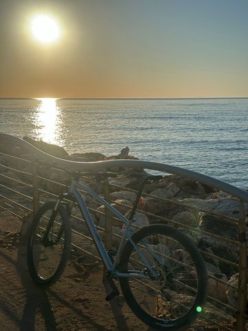 ROCKRIDER Explore Other Shimano 2026 Mountainbike usato, Blu — immagine 4 di 5