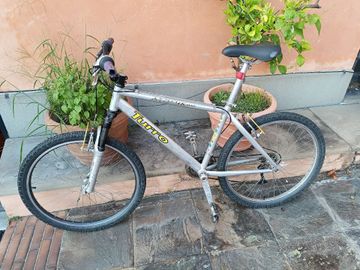 Used Turro Custom Shimano Dura Ace 1998 Mountainbike, Light Gray — image 2 of 3