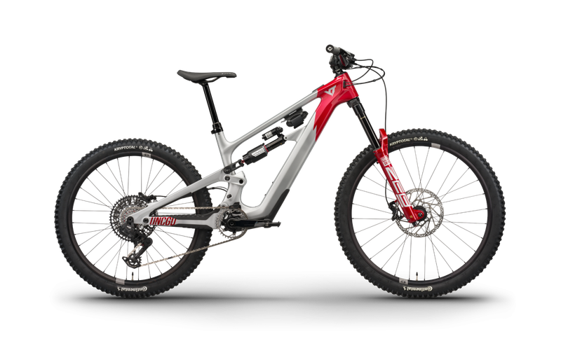 Gebrauchtes YT Industries Decoy CORE 4 29 2024 2024 MTB