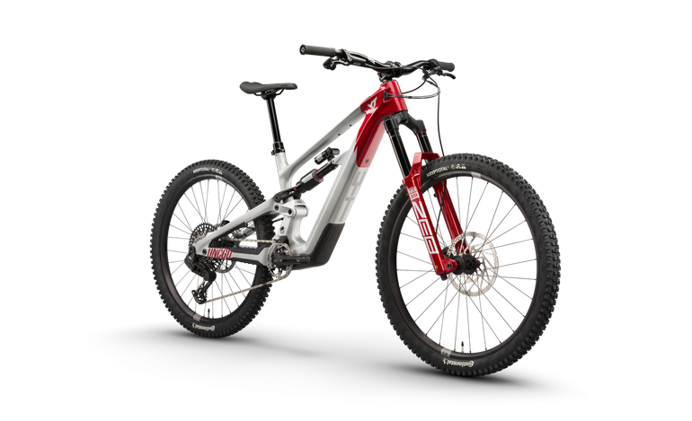 Gebrauchtes YT Industries Decoy CORE 4 29 2024 2024 Mountainbike, Hellgrau, 29 — Bild 3 von 3