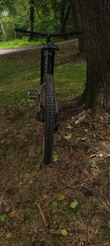 Used Specialized Rockhopper Expert 2024 2024 Mountainbike, Black, 27.5, 29 — image 11 of 11