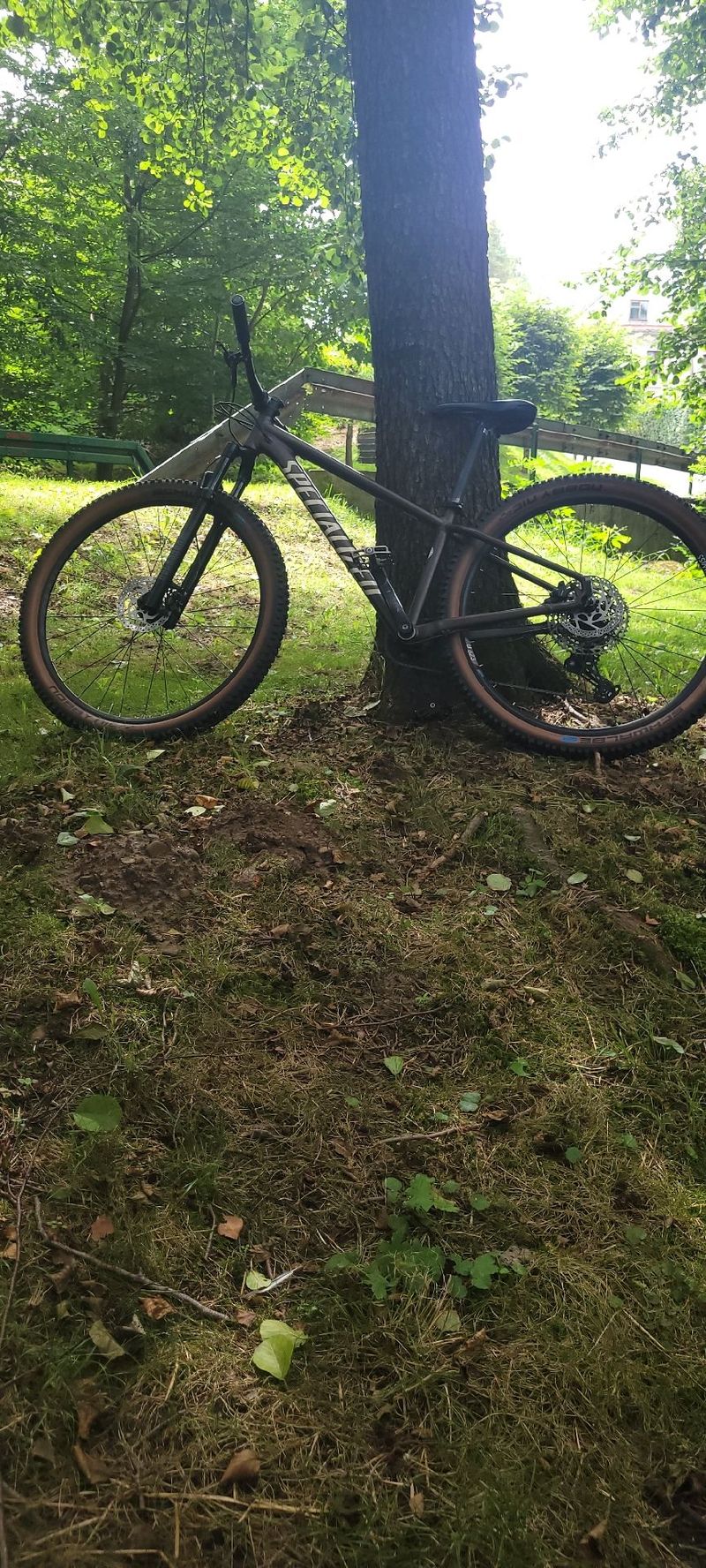Used Specialized Rockhopper Expert 2024 2024 MTB