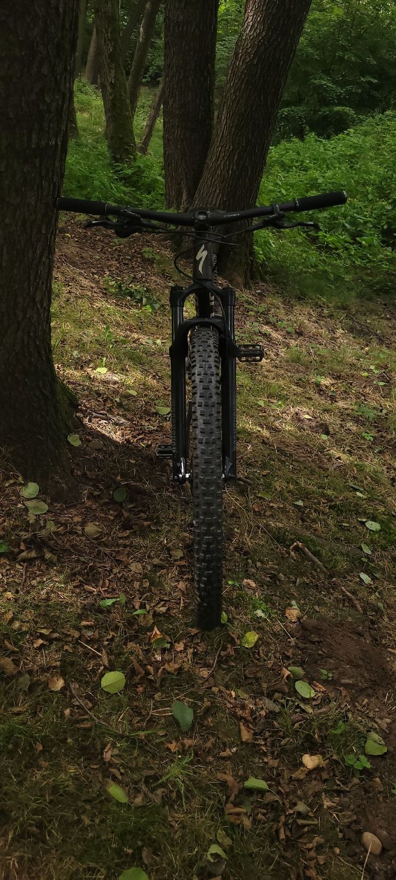 Specialized Rockhopper Expert 2024 2024 Mountainbike d'occasion — image 2 sur 8