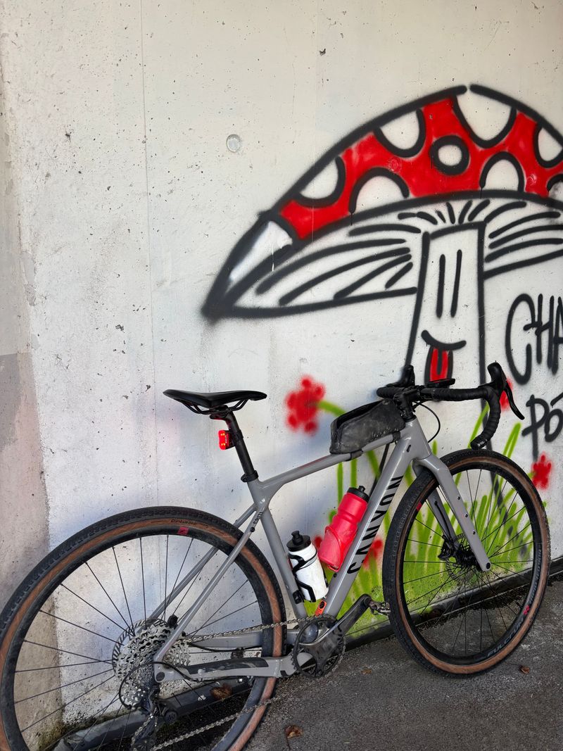 Used Canyon Grizl 8 RAW Ekar 1by 2023 2023 Road & Gravel