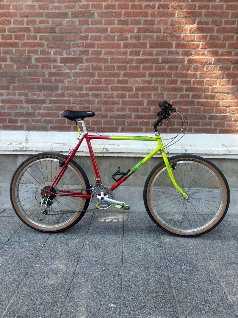 Batavus Course Other Shimano 1990 MTB usato