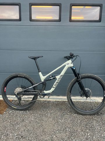 Gebrauchtes Canyon Spectral CF 7 2024 2024 Mountainbike, Hellgrau, 29, 27.5 — Bild 2 von 8