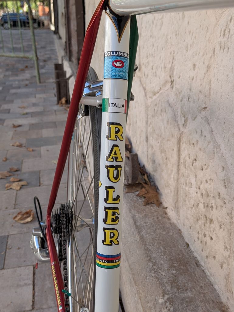 Rauler Special - Campagnolo Record 1994 1994 Road & Gravel de segunda mano, Blanco — imagen 17 de 22