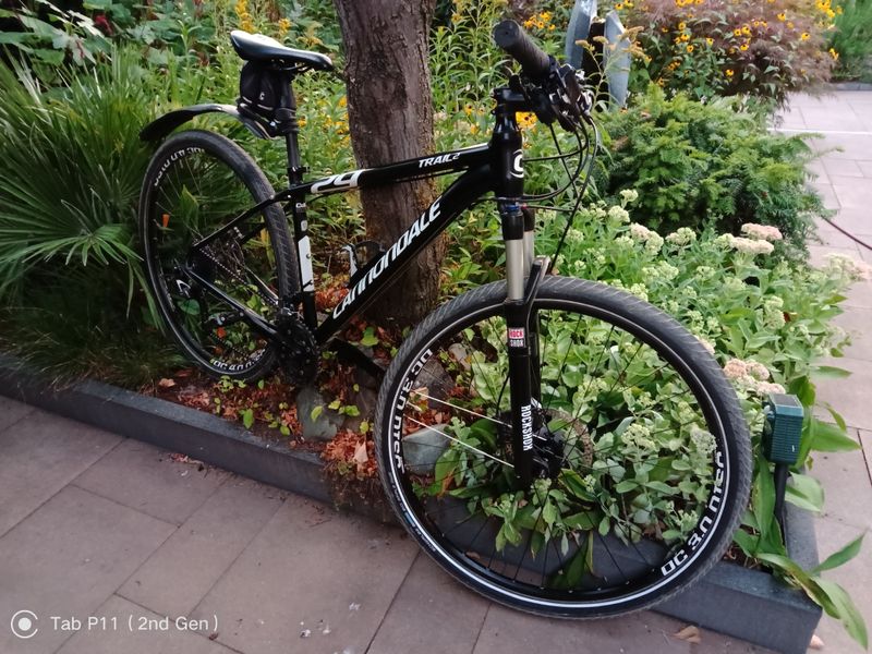 Used Cannondale Trail Shimano Deore LX 2018 Kids & Youth