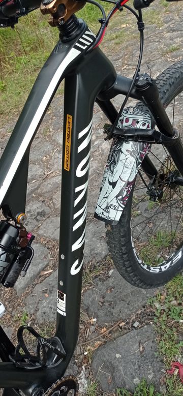 Canyon LUX Shimano Dura Ace Di2 2021 Mountainbike de segunda mano, Negro — imagen 23 de 36