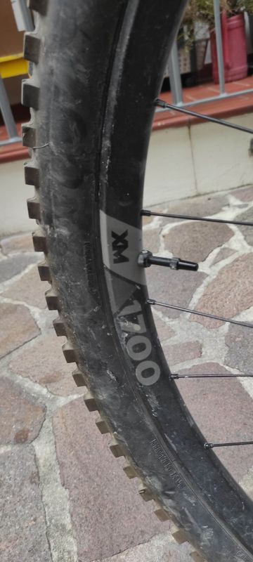 Brugt Canyon Spectral 29 CF 8 2021 2021 Mountainbike — billede 7 af 8
