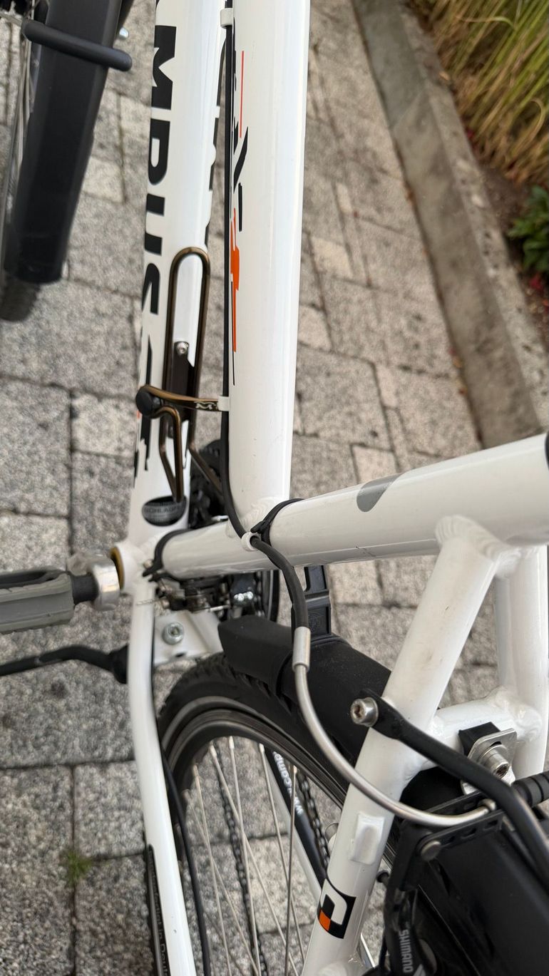 Used Campus Custom Urban, White — image 11 of 14