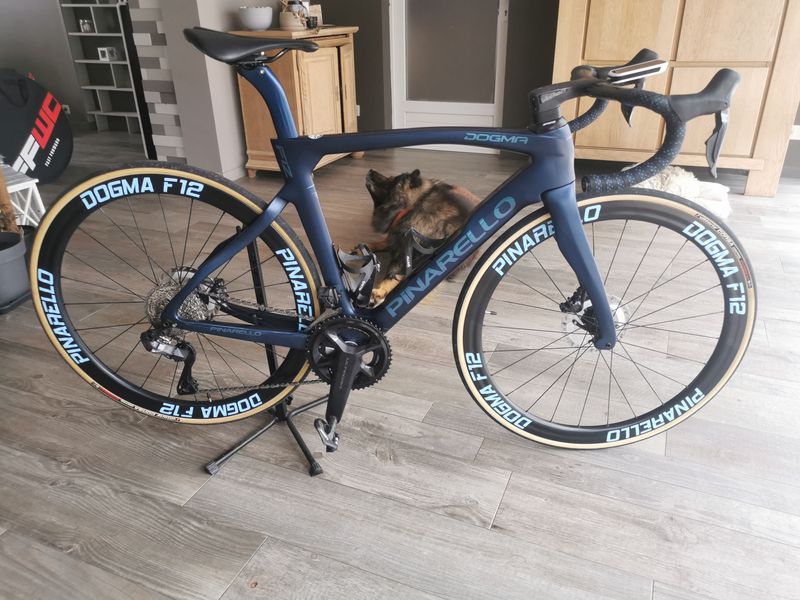 Pinarello F12 2021 Road & Gravel d'occasion