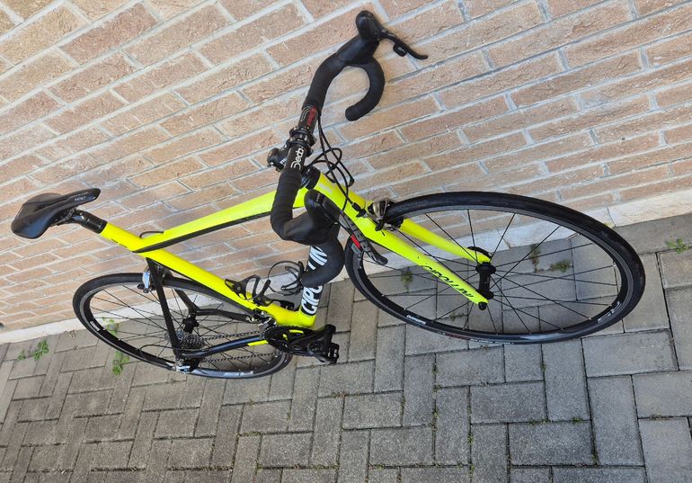 Brugt Cipollini RB 800 in carbonio 2018 Road & Gravel — billede 3 af 3