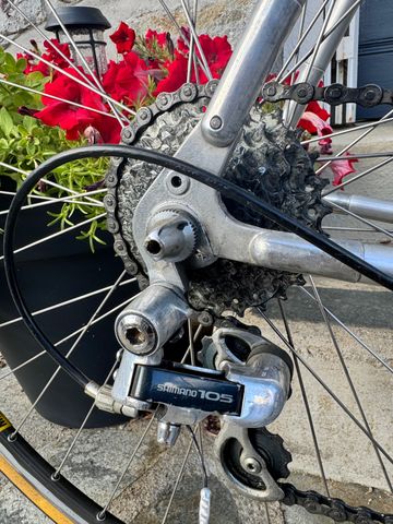 Brugt Peugeot Galaxie 1987 Road & Gravel — billede 12 af 14