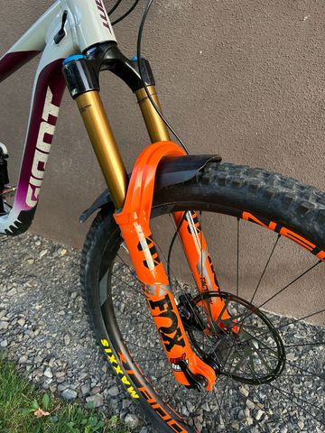 Giant Reign 29 SX 2021 2021 Mountainbike usato, Grigio chiaro — immagine 3 di 12