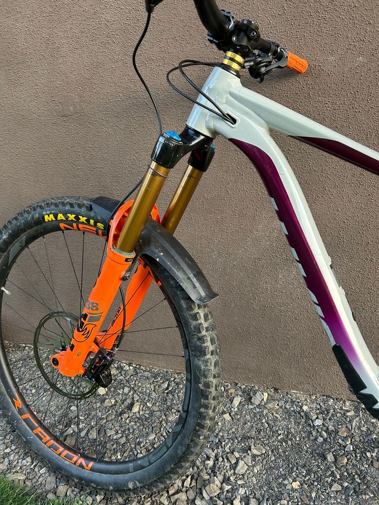 Giant Reign 29 SX 2021 2021 Mountainbike usato, Grigio chiaro — immagine 10 di 12