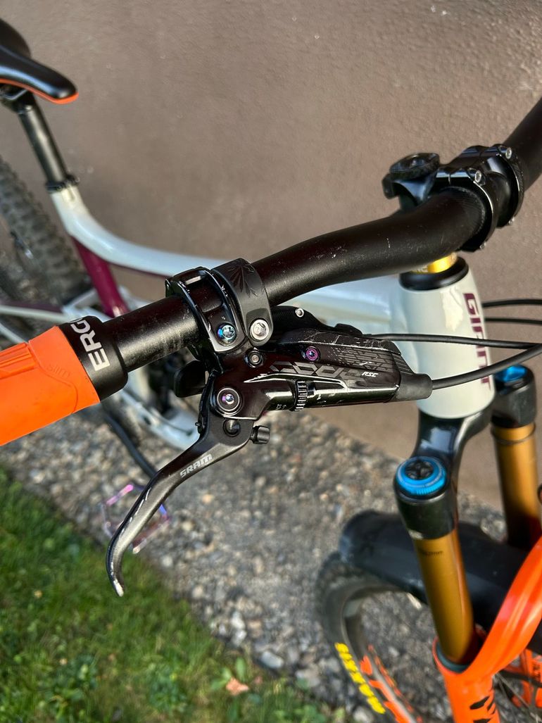 Giant Reign 29 SX 2021 2021 Mountainbike usato, Grigio chiaro — immagine 4 di 12