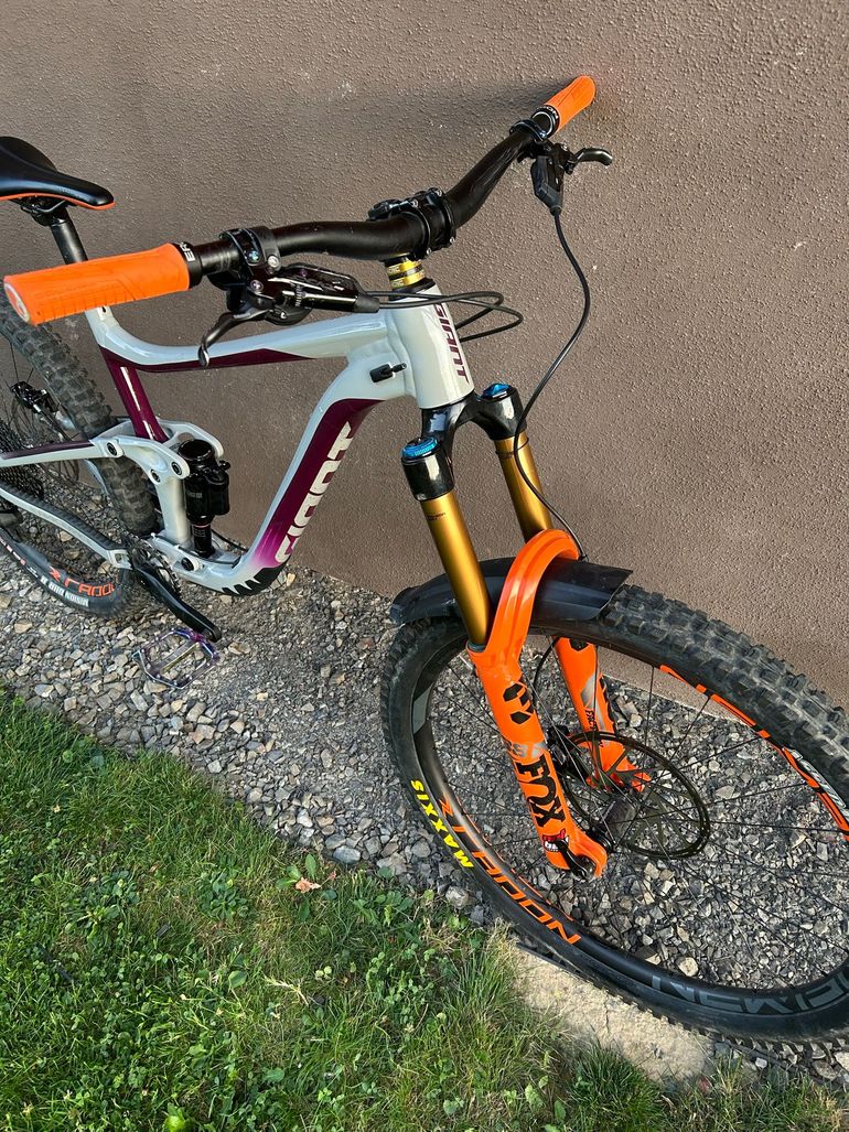 Giant Reign 29 SX 2021 2021 Mountainbike usato, Grigio chiaro — immagine 2 di 12
