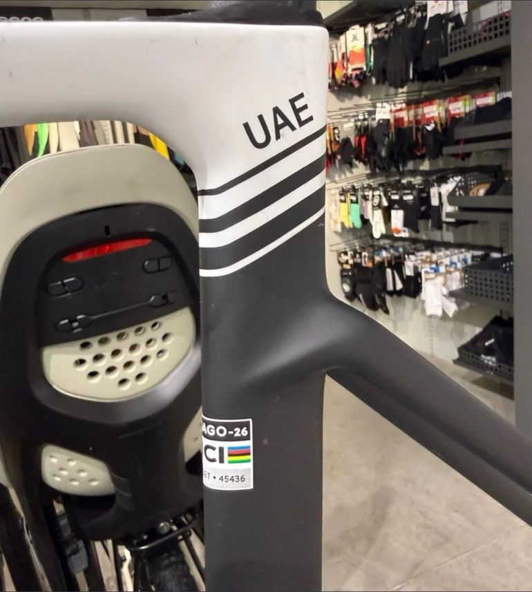 Used Colnago V5Rs Frameset 2025 Road & Gravel, White — image 3 of 7
