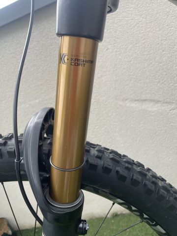 Pivot Firebird 29 Race XT 2021 2021 Mountainbike usato, Grigio chiaro — immagine 17 di 21