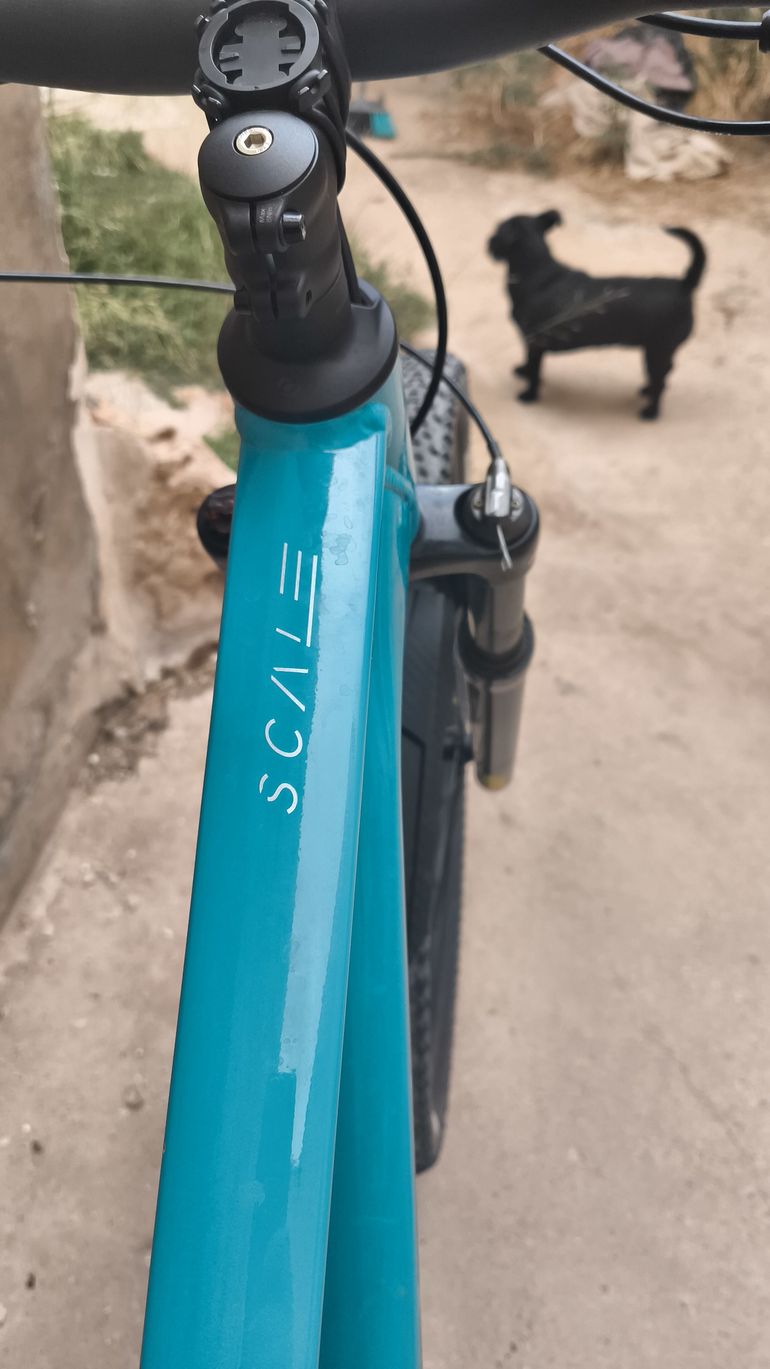Used Scott Scale 980 2025 2025 Mountainbike, Blue, 29 — image 4 of 4