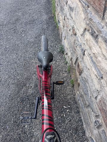 Used Commencal ABSOLUT 26 2018 2018 Mountainbike, Red, 26 — image 3 of 3