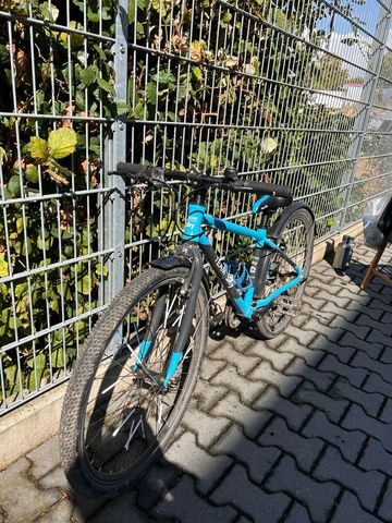 Gebrauchtes Frog 69 Team Sky 2018 Youth, Blau — Bild 2 von 4