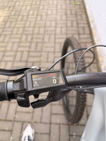 Used R RAYMON Airok 2025 2025 Mountainbike, Light Gray, 29 — image 4 of 4