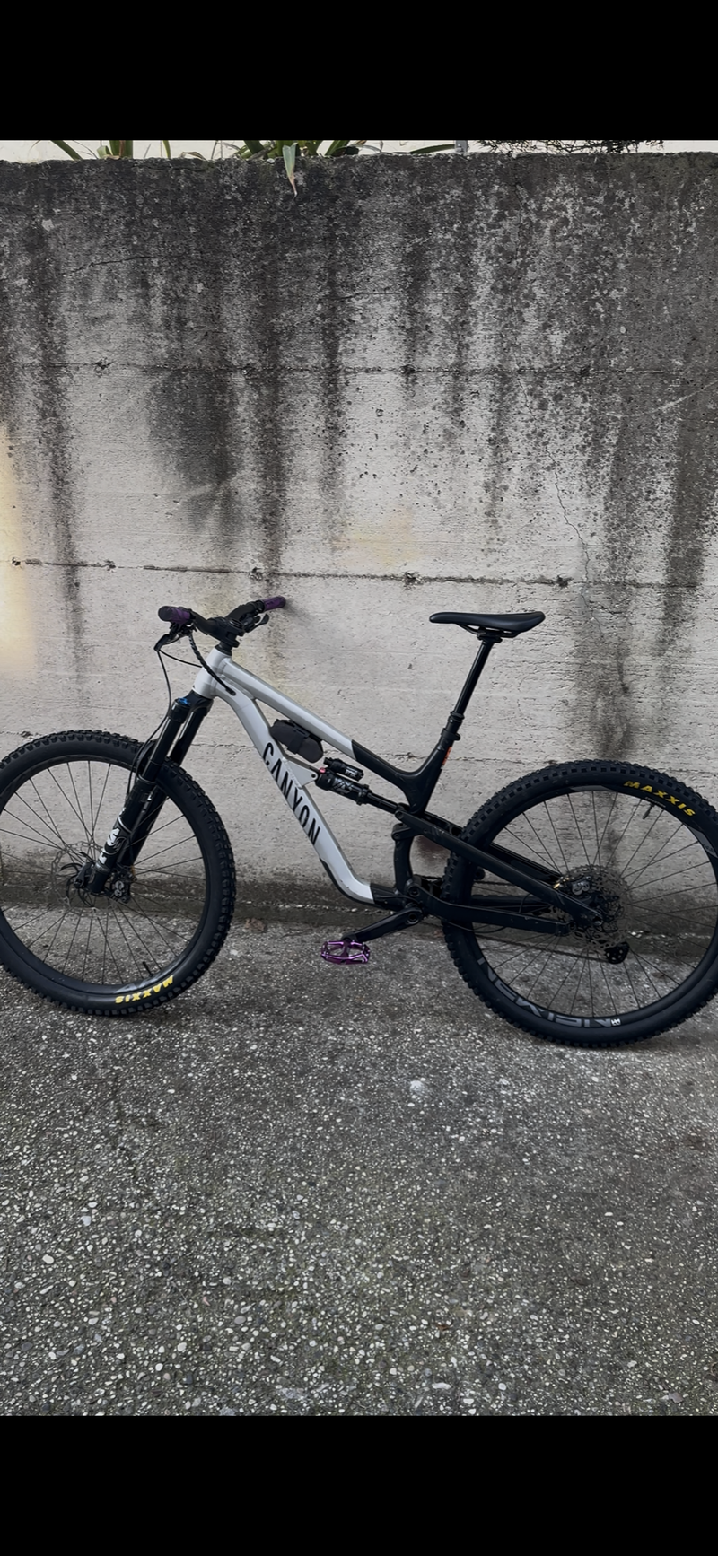 Brugt Canyon Spectral 29 AL 5 2023 2023 MTB