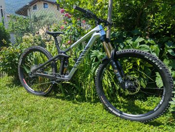 Used Canyon Strive CFR 2022 2022 Mountainbike, Light Gray, 29 — image 5 of 7