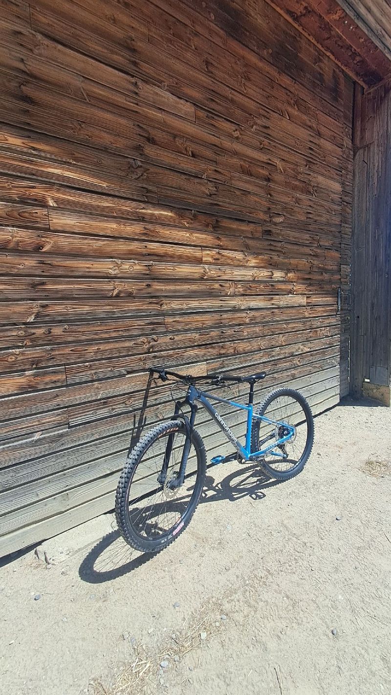 Used Cannondale Trail SL Women's 3 2025 2025 MTB