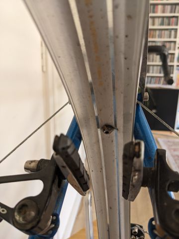 Used Hewitt Cheviot Frameset 2010 Road & Gravel, Blue — image 9 of 11