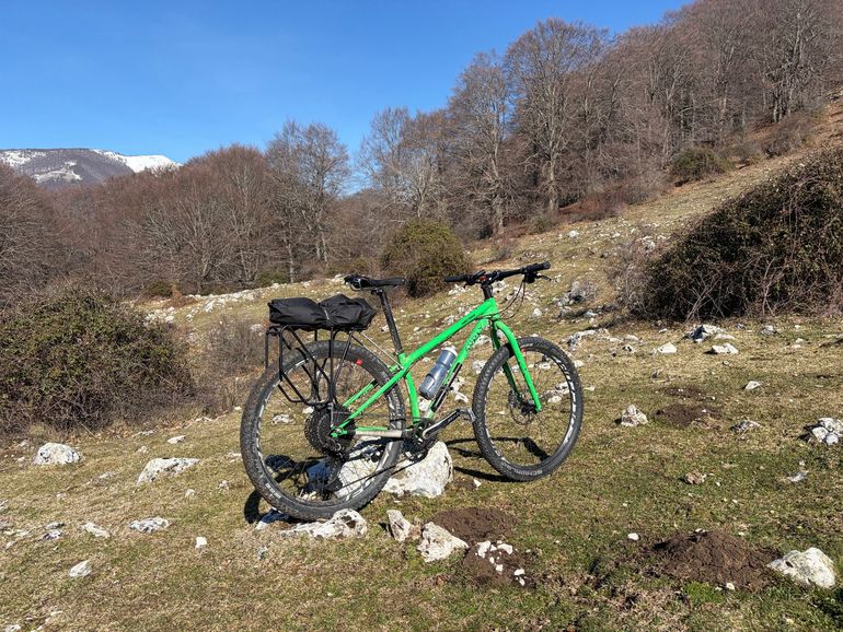 Used Surly Karate Monkey 2020 2020 Mountainbike, Green, 27.5, 29 — image 3 of 4