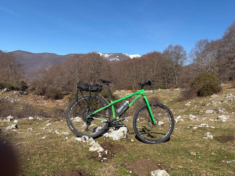 Used Surly Karate Monkey 2020 2020 MTB