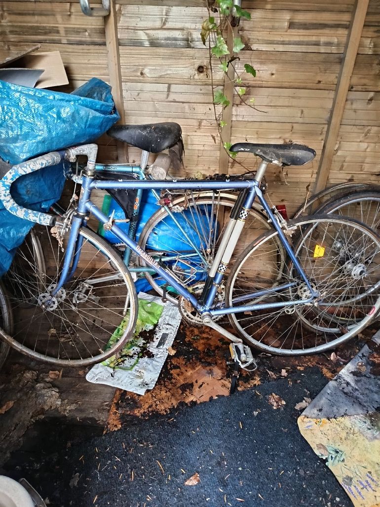 Used Peugeot PY10 Shimano Dura Ace Di2 1977 Road & Gravel, Light Gray — image 2 of 3