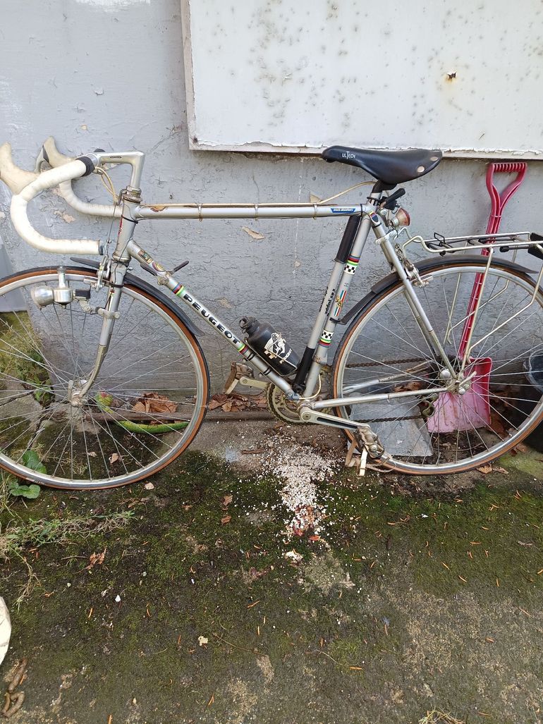 Used Peugeot PY10 Shimano Dura Ace Di2 1977 Road & Gravel, Light Gray — image 3 of 3