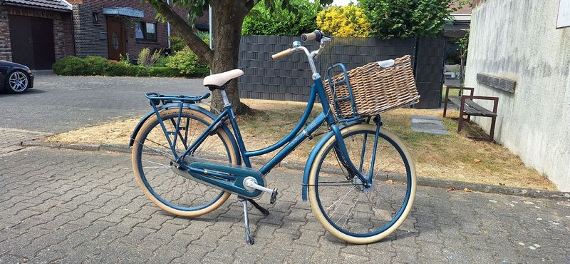 Used Batavus Course Other Shimano 2022 Kids & Youth