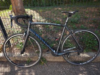 trekkingrad winora damen Domingo X24 Size:Top-Bar - 50cm SPYMINNPOO Mountainbike Rahmen, 20 aluminium alloy