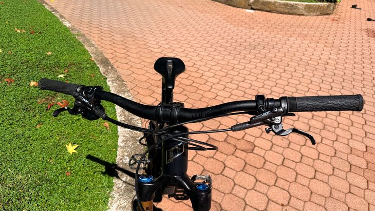 Used Propain Tyee SRAM GX Eagle 2023 Mountainbike, Black — image 8 of 14
