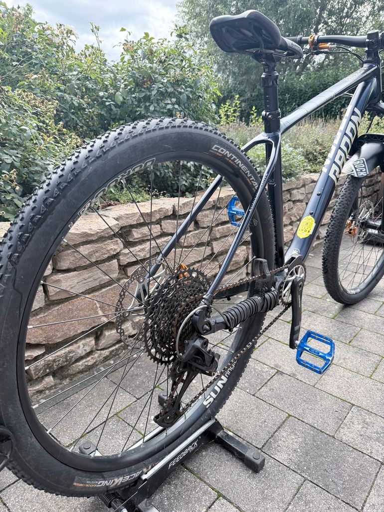 Used Radon CRAGGER 7.0 MS 2022 2022 Mountainbike, Blue, 29 — image 4 of 4