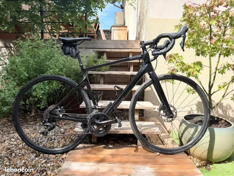 Gebrauchtes Cannondale Synapse Carbon 3 L 2023 2023 Road & Gravel