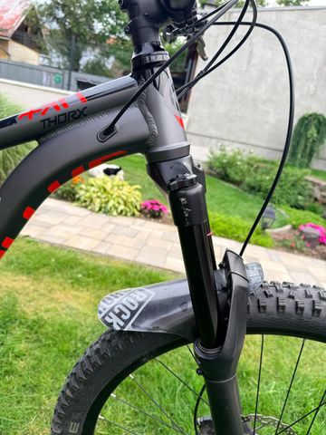 Kellys THORX 10 29" 2021 2021 Mountainbike usato, Grigio chiaro — immagine 8 di 11