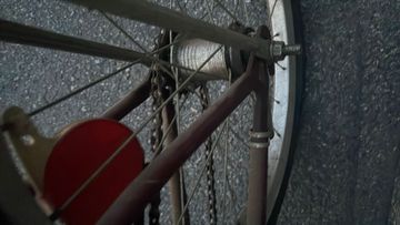 Used Tyler Custom 1980 Youth, Red — image 4 of 11